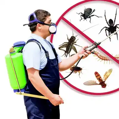 pest control Peconic